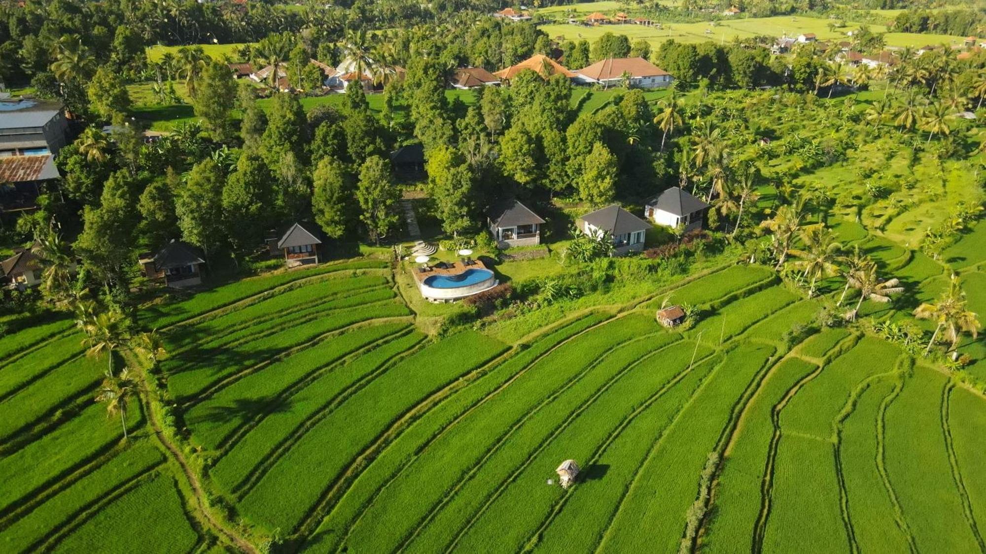 Mayura Bali 3* Munduk