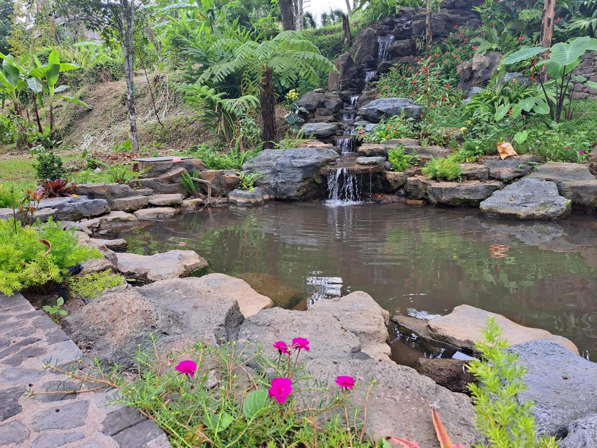 Mayura Bali Munduk