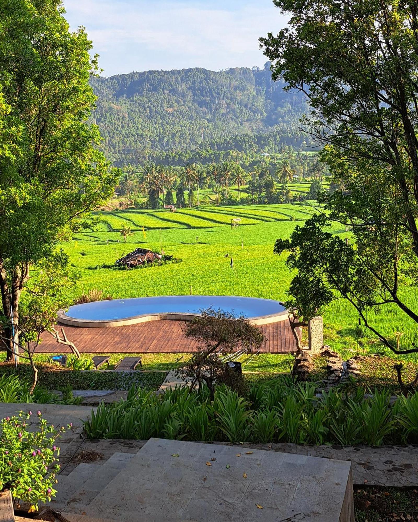 Mayura Bali 3* Munduk