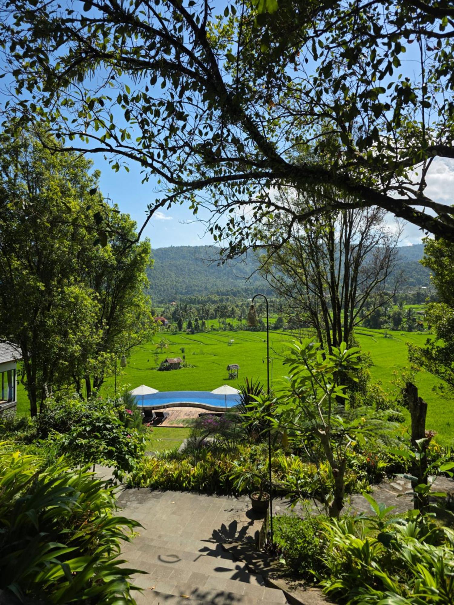 Mayura Bali 3* Munduk