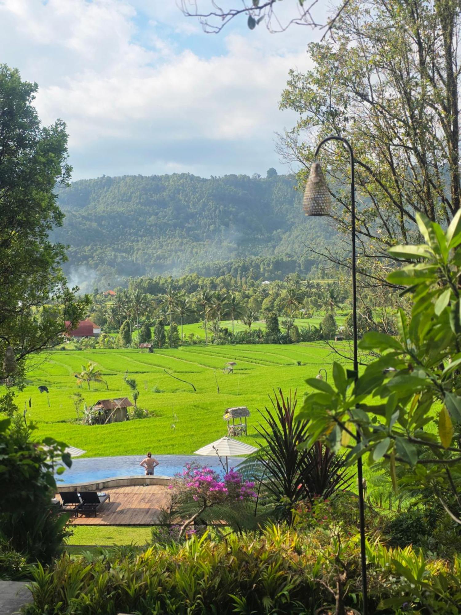 Hotel Mayura Bali 3*